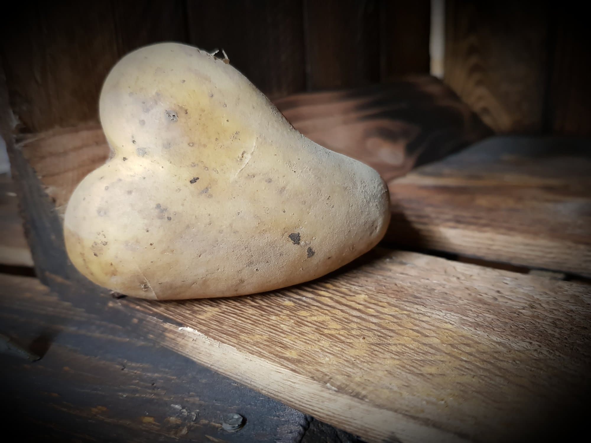 Herzförmige Kartoffel auf einer verwitterten Holzkiste